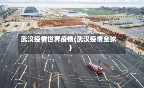 武汉疫情世界疫情(武汉疫情全球)