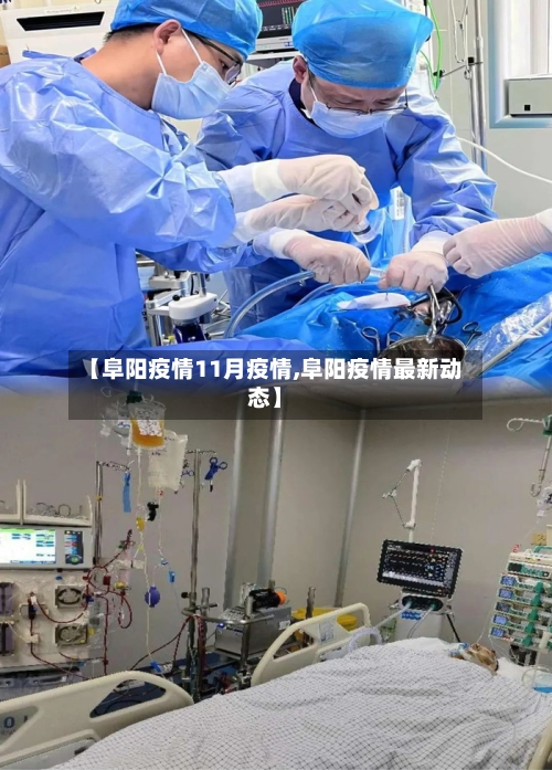 【阜阳疫情11月疫情,阜阳疫情最新动态】