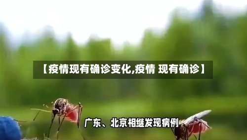 【疫情现有确诊变化,疫情 现有确诊】