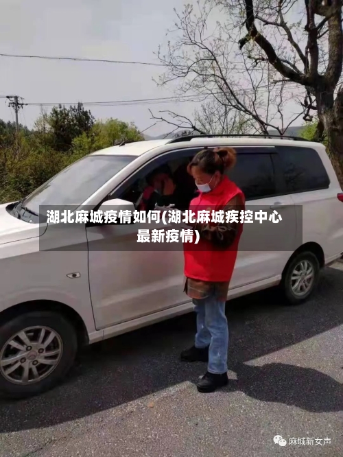 湖北麻城疫情如何(湖北麻城疾控中心最新疫情)