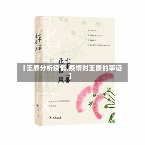 【王辰分析疫情,疫情时王辰的事迹】-第2张图片