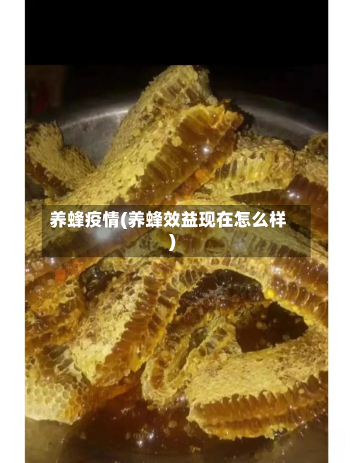 养蜂疫情(养蜂效益现在怎么样)