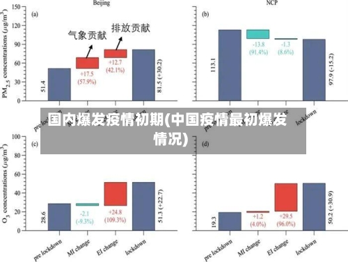 国内爆发疫情初期(中国疫情最初爆发情况)