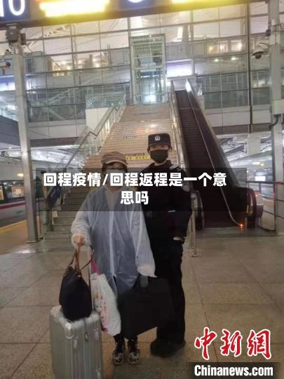 回程疫情/回程返程是一个意思吗-第2张图片