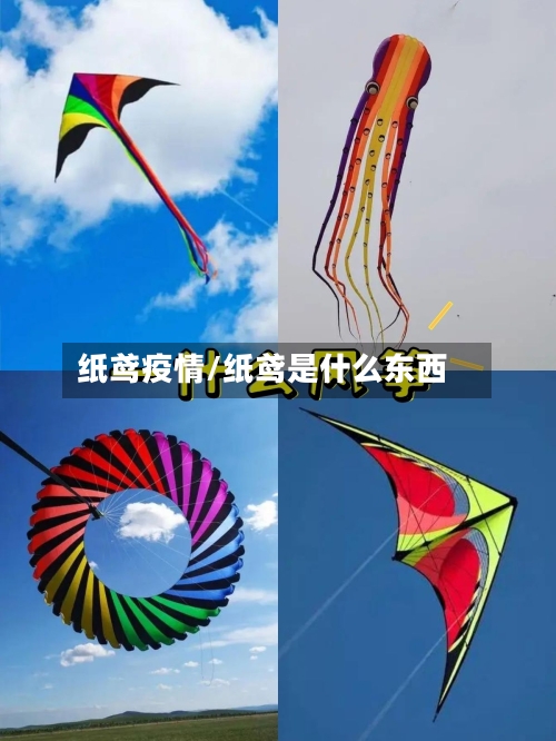 纸鸢疫情/纸鸢是什么东西
