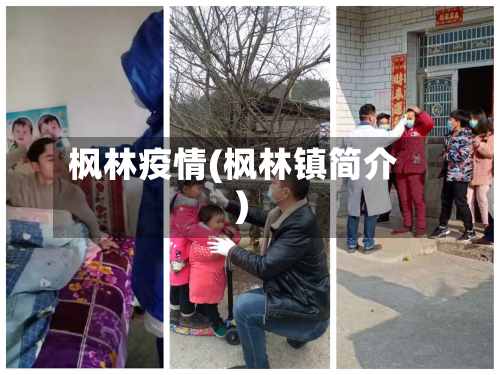 枫林疫情(枫林镇简介)-第2张图片