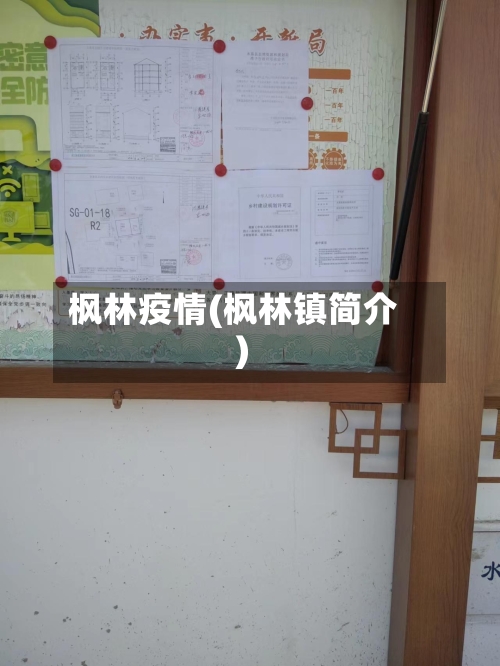 枫林疫情(枫林镇简介)