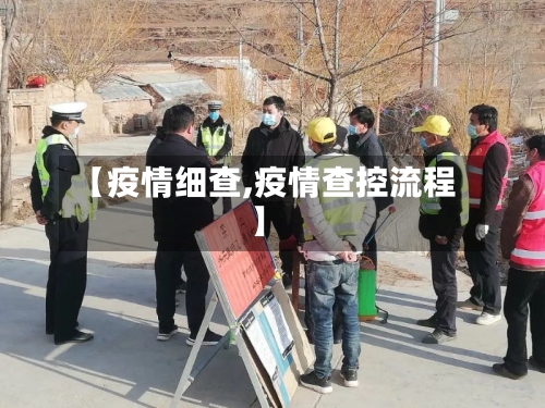 【疫情细查,疫情查控流程】