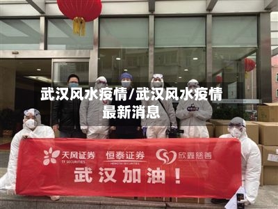 武汉风水疫情/武汉风水疫情最新消息-第2张图片