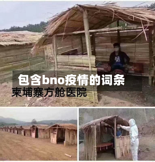 包含bno疫情的词条-第3张图片