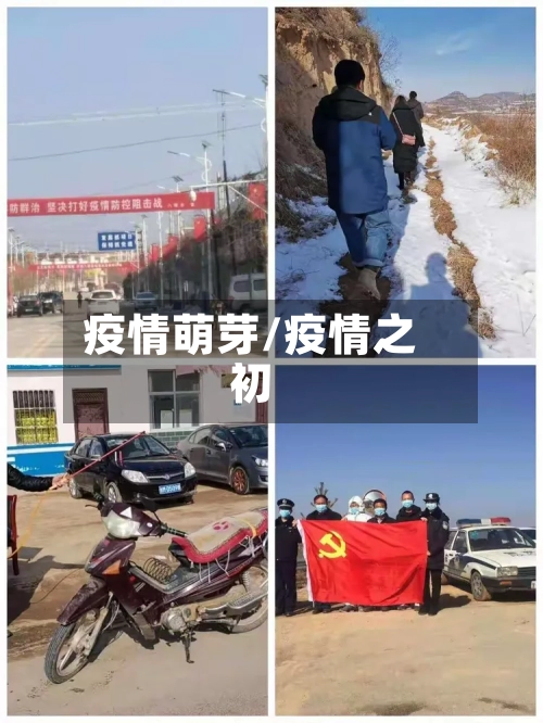 疫情萌芽/疫情之初