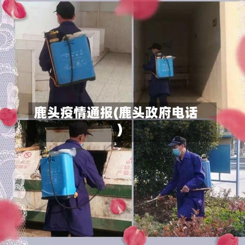 鹿头疫情通报(鹿头政府电话)