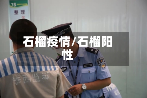 石榴疫情/石榴阳性-第3张图片