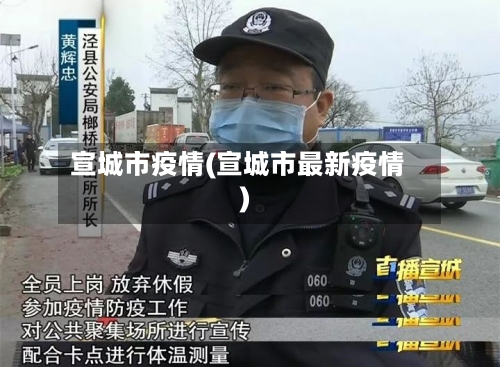 宣城市疫情(宣城市最新疫情)-第2张图片