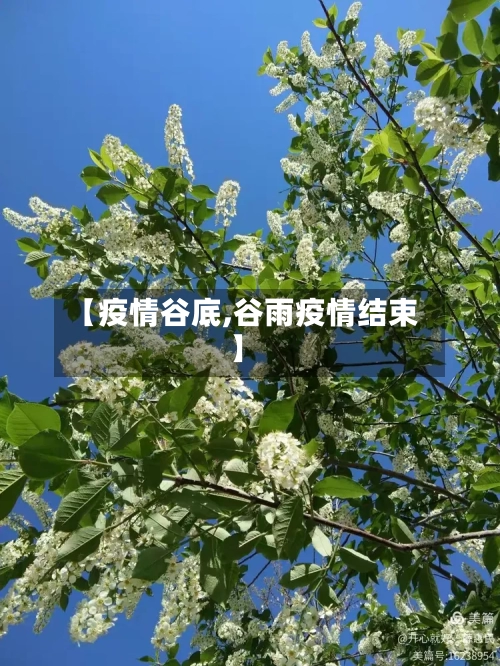 【疫情谷底,谷雨疫情结束】