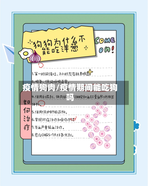 疫情狗肉/疫情期间能吃狗吗