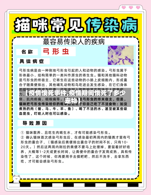 【疫情饿死事件,疫情期间饿死了多少宠物】