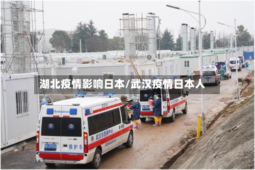 湖北疫情影响日本/武汉疫情日本人