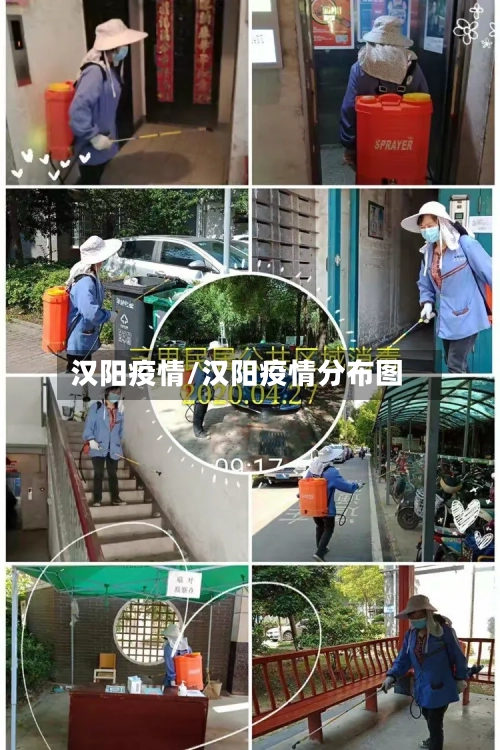 汉阳疫情/汉阳疫情分布图