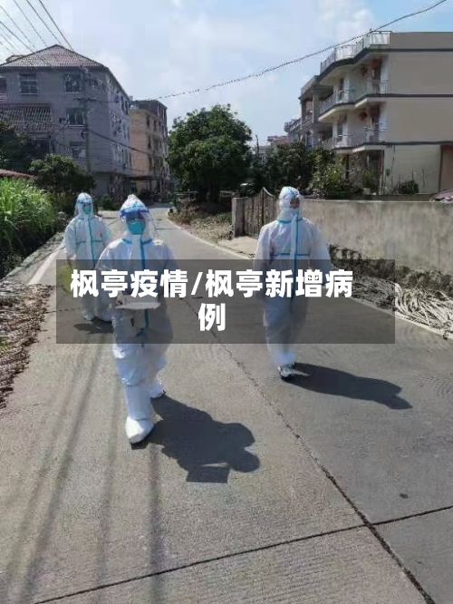 枫亭疫情/枫亭新增病例