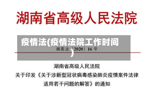 疫情法(疫情法院工作时间)