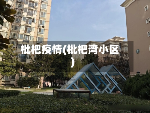 枇杷疫情(枇杷湾小区)