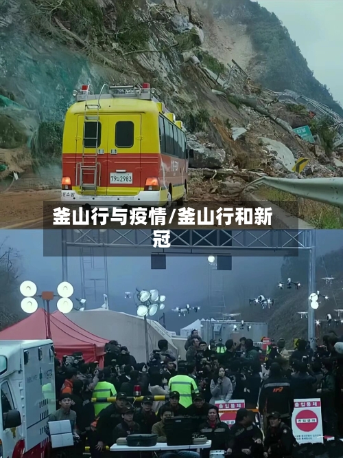 釜山行与疫情/釜山行和新冠-第3张图片