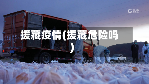 援藏疫情(援藏危险吗)-第2张图片