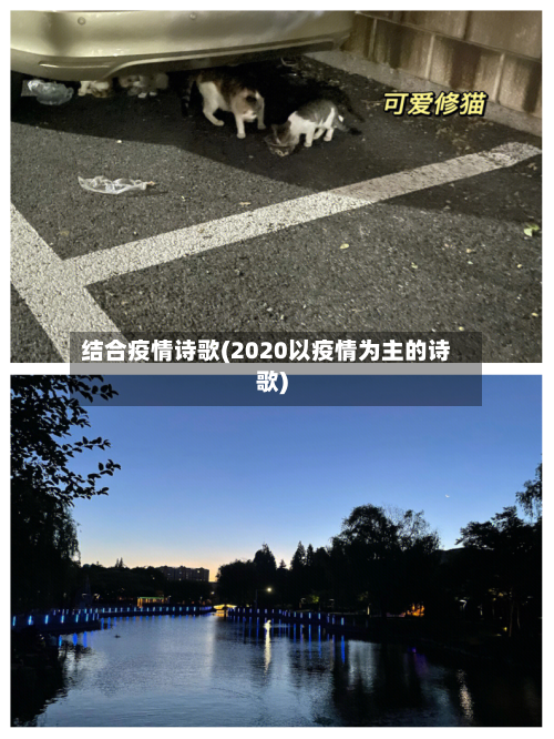 结合疫情诗歌(2020以疫情为主的诗歌)