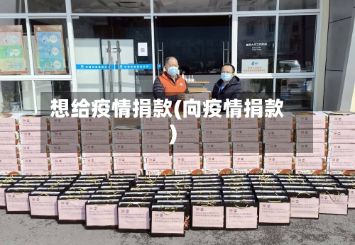 想给疫情捐款(向疫情捐款)