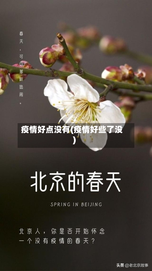 疫情好点没有(疫情好些了没)-第2张图片
