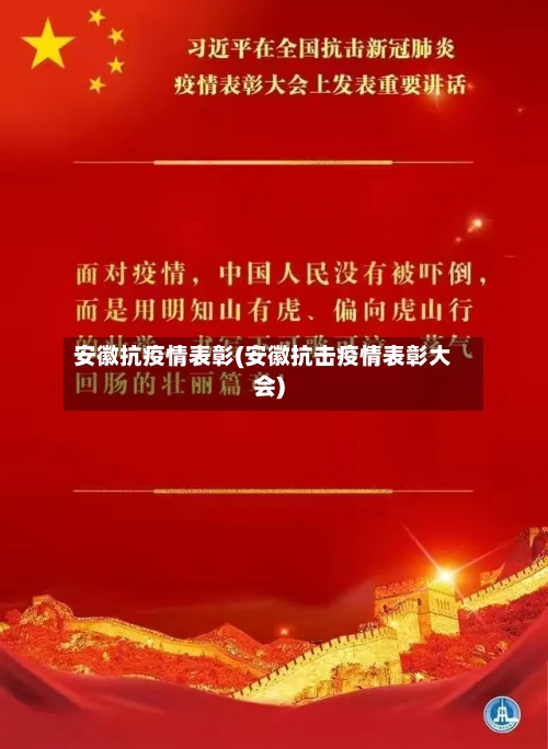安徽抗疫情表彰(安徽抗击疫情表彰大会)