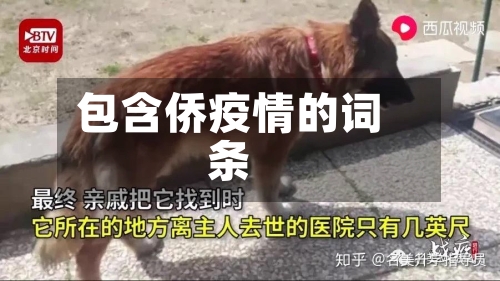 包含侨疫情的词条-第2张图片