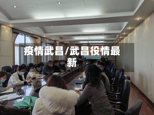 疫情武昌/武昌役情最新-第2张图片