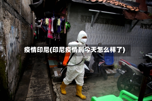 疫情印尼(印尼疫情到今天怎么样了)