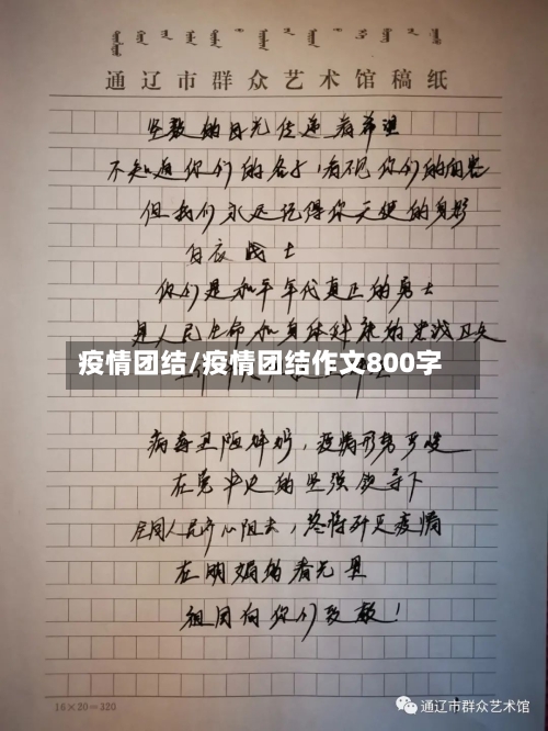 疫情团结/疫情团结作文800字