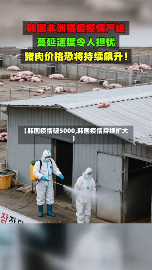 【韩国疫情破5000,韩国疫情持续扩大】