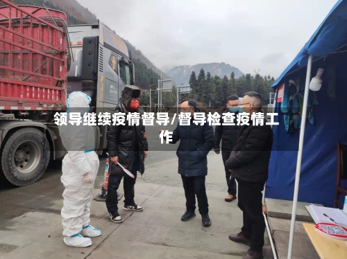 领导继续疫情督导/督导检查疫情工作