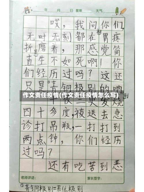 作文责任疫情(作文责任疫情怎么写)-第3张图片