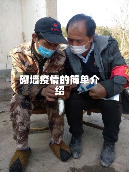 砌墙疫情的简单介绍