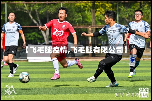 【飞毛腿疫情,飞毛腿有限公司】
