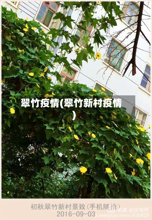 翠竹疫情(翠竹新村疫情)