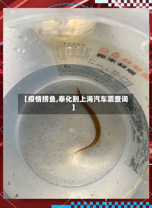 【疫情捞鱼,奉化到上海汽车票查询】