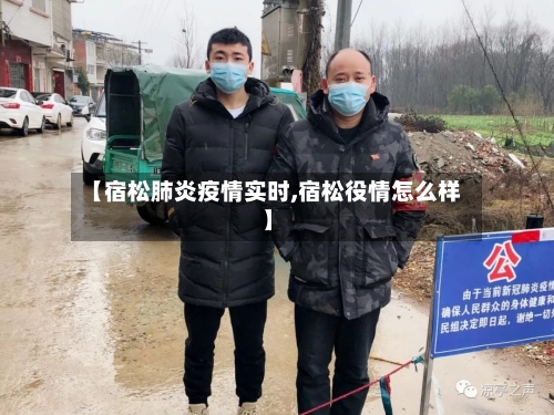 【宿松肺炎疫情实时,宿松役情怎么样】