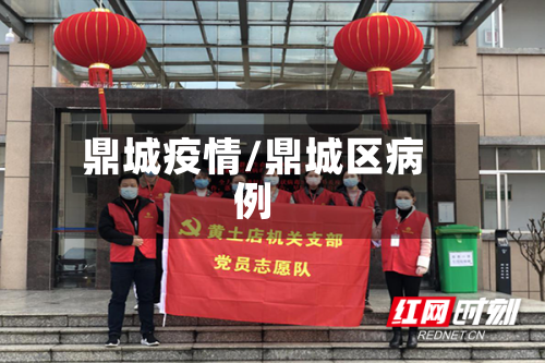 鼎城疫情/鼎城区病例