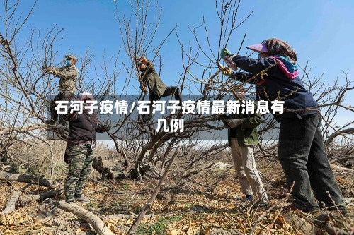 石河子疫情/石河子疫情最新消息有几例-第3张图片