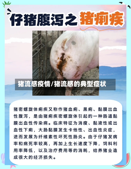 猪流感疫情/猪流感的典型症状