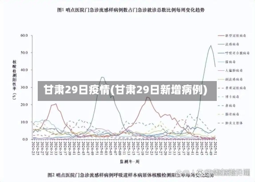 甘肃29日疫情(甘肃29日新增病例)