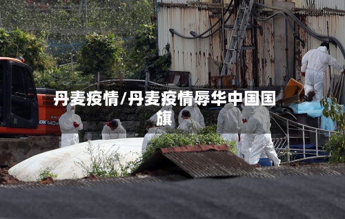 丹麦疫情/丹麦疫情辱华中国国旗