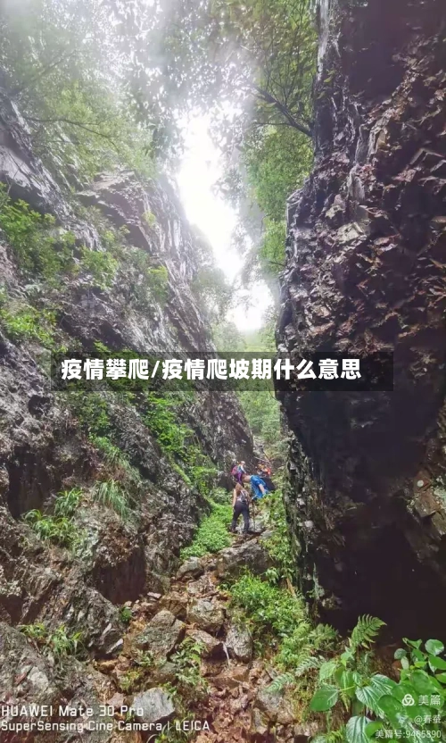 疫情攀爬/疫情爬坡期什么意思